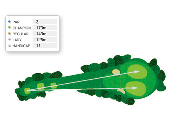 서코스 8H 공략도