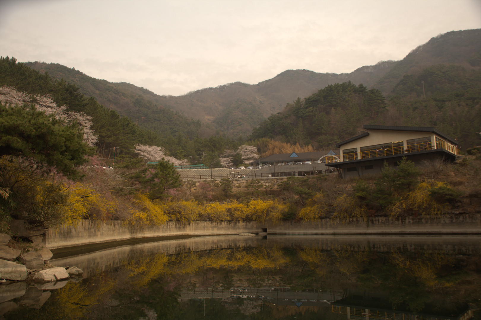 클럽하우스 이미지